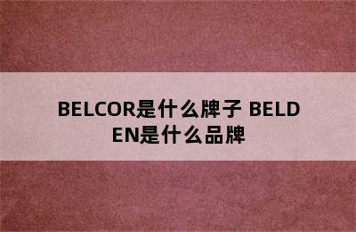 BELCOR是什么牌子 BELDEN是什么品牌